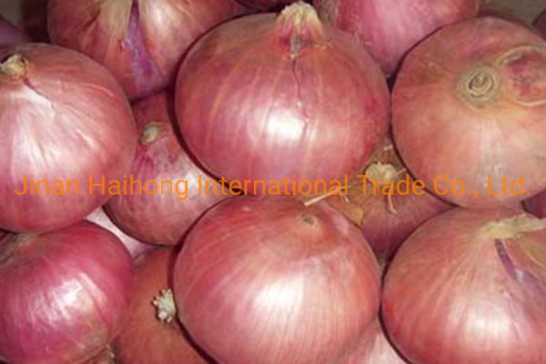 Black sprut onion bs2webes net