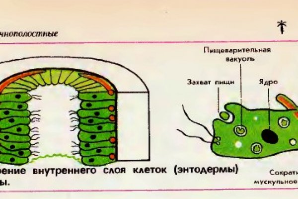 Нова ссылка blacksprut blacksprut wiki