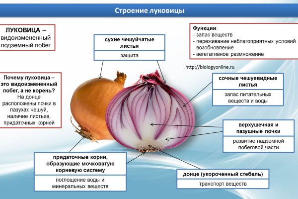 Рабочая ссылка на блэкспрут 1blacksprut me