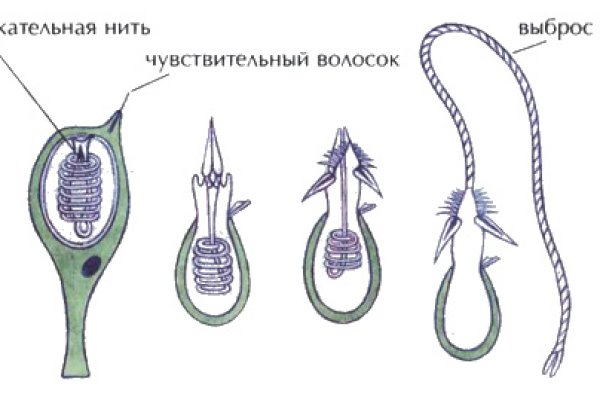 Все доступные по ссылке награды в bs